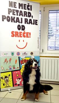 Bodi zvezda ne meči petard (14)